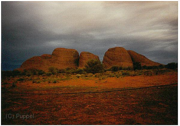 Australien 1998 D1330_s.jpg